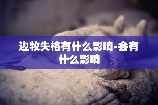 邊牧失格有什么影響-會有什么影響