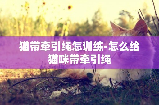貓帶牽引繩怎訓練-怎么給貓咪帶牽引繩