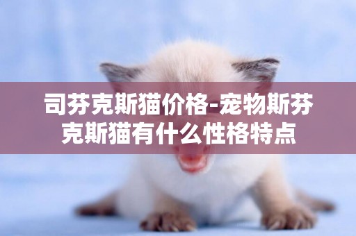 司芬克斯貓價格-寵物斯芬克斯貓有什么性格特點