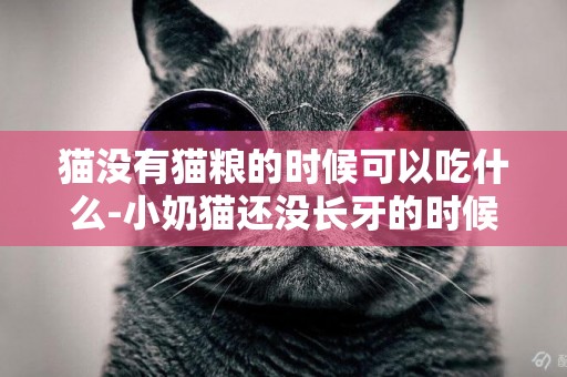 貓沒有貓糧的時候可以吃什么-小奶貓還沒長牙的時候可以吃什么