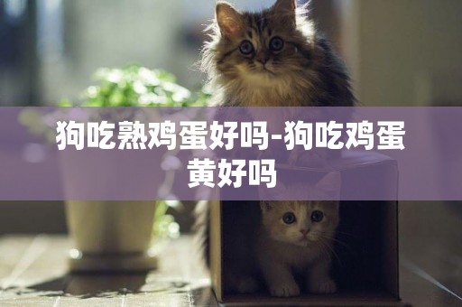 狗吃熟雞蛋好嗎-狗吃雞蛋黃好嗎