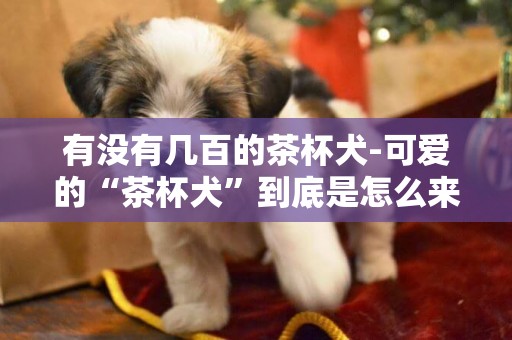 有沒有幾百的茶杯犬-可愛的“茶杯犬”到底是怎么來的