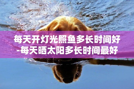 每天開燈光照魚多長時間好-每天曬太陽多長時間最好