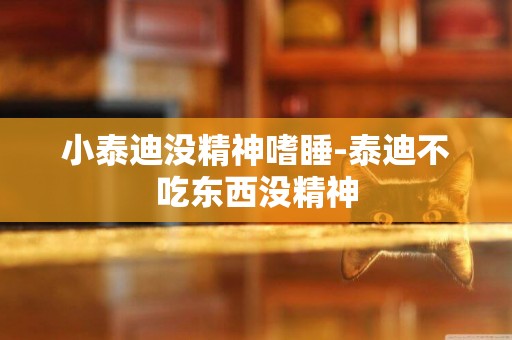 小泰迪沒精神嗜睡-泰迪不吃東西沒精神