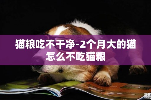 貓糧吃不干凈-2個月大的貓怎么不吃貓糧
