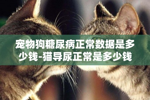 寵物狗糖尿病正常數據是多少錢-貓導尿正常是多少錢
