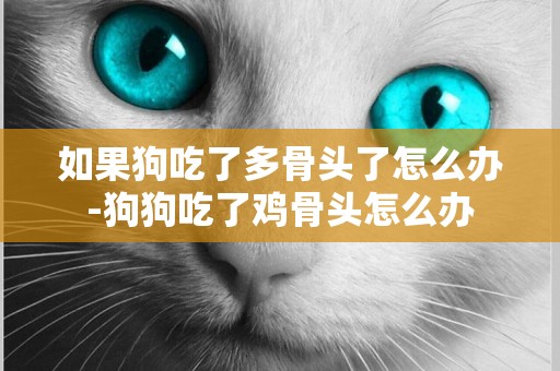如果狗吃了多骨頭了怎么辦-狗狗吃了雞骨頭怎么辦