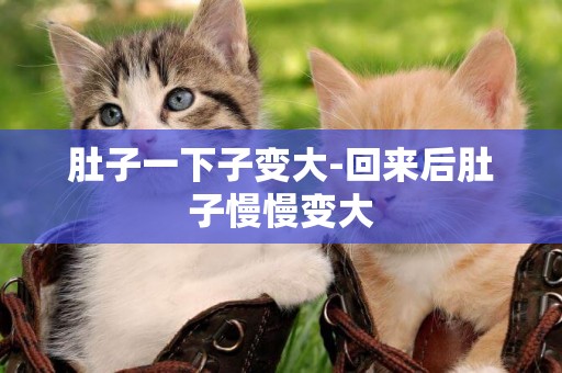 肚子一下子變大-回來后肚子慢慢變大
