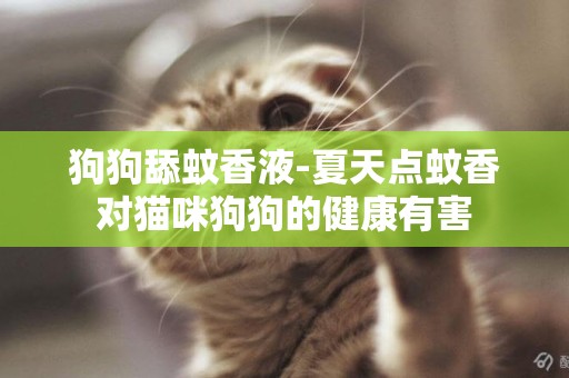 狗狗舔蚊香液-夏天點蚊香對貓咪狗狗的健康有害