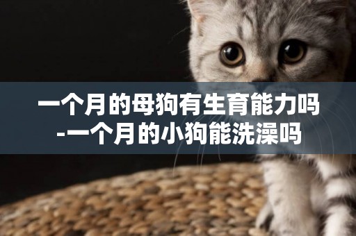 一個月的母狗有生育能力嗎-一個月的小狗能洗澡嗎