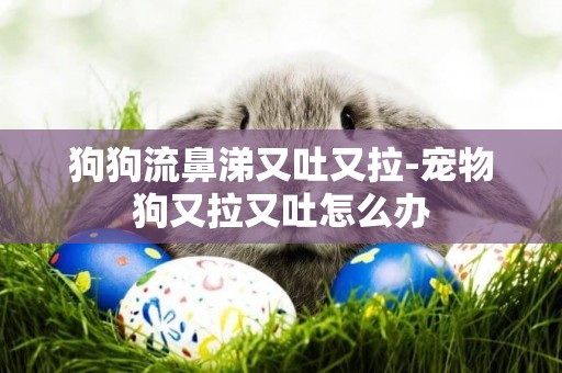 狗狗流鼻涕又吐又拉-寵物狗又拉又吐怎么辦