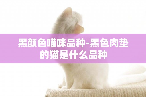 黑顏色喵咪品種-黑色肉墊的貓是什么品種