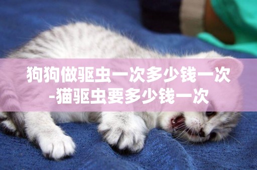 狗狗做驅蟲一次多少錢一次-貓驅蟲要多少錢一次