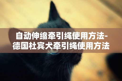 自動伸縮牽引繩使用方法-德國杜賓犬牽引繩使用方法