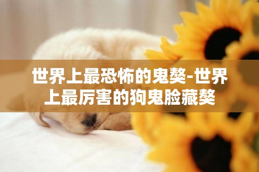 世界上最恐怖的鬼獒-世界上最厲害的狗鬼臉藏獒