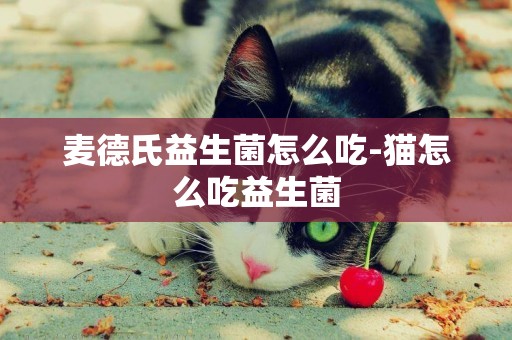 麥德氏益生菌怎么吃-貓怎么吃益生菌