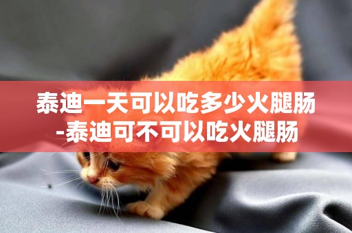 泰迪一天可以吃多少火腿腸-泰迪可不可以吃火腿腸