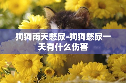 狗狗雨天憋尿-狗狗憋尿一天有什么傷害