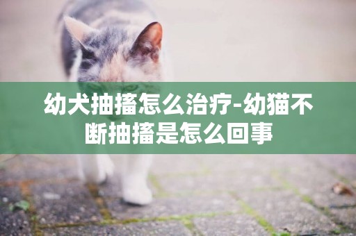幼犬抽搐怎么治療-幼貓不斷抽搐是怎么回事