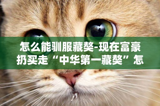 怎么能馴服藏獒-現在富豪扔買走“中華第一藏獒”怎么樣