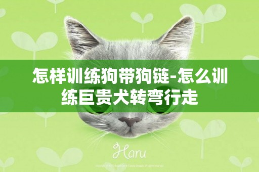 怎樣訓練狗帶狗鏈-怎么訓練巨貴犬轉彎行走