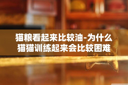 貓糧看起來比較油-為什么貓貓訓練起來會比較困難