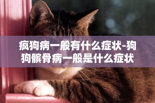 瘋狗病一般有什么癥狀-狗狗髕骨病一般是什么癥狀