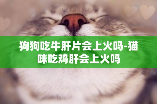 狗狗吃牛肝片會上火嗎-貓咪吃雞肝會上火嗎