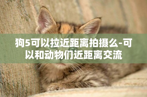 狗5可以拉近距離拍攝么-可以和動物們近距離交流