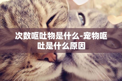 次數嘔吐物是什么-寵物嘔吐是什么原因