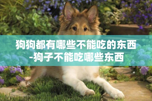 狗狗都有哪些不能吃的東西-狗子不能吃哪些東西
