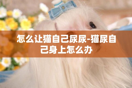怎么讓貓自己尿尿-貓尿自己身上怎么辦