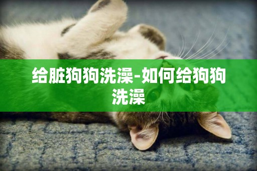 給臟狗狗洗澡-如何給狗狗洗澡