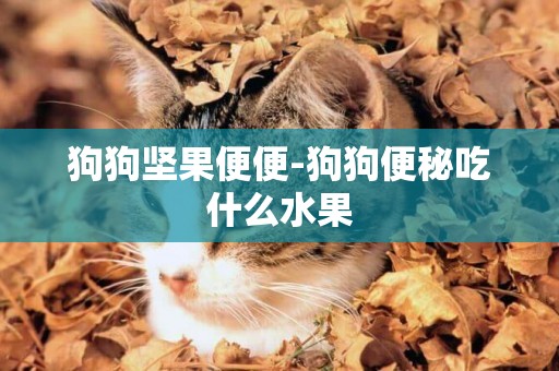 狗狗堅果便便-狗狗便秘吃什么水果