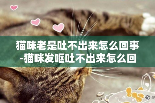 貓咪老是吐不出來怎么回事-貓咪發嘔吐不出來怎么回事