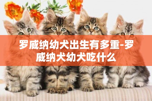 羅威納幼犬出生有多重-羅威納犬幼犬吃什么