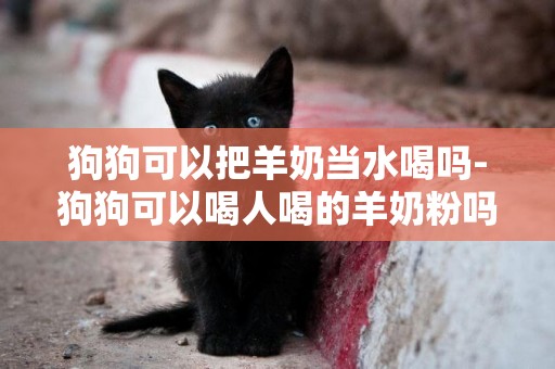 狗狗可以把羊奶當水喝嗎-狗狗可以喝人喝的羊奶粉嗎