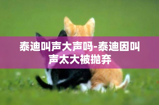 泰迪叫聲大聲嗎-泰迪因叫聲太大被拋棄