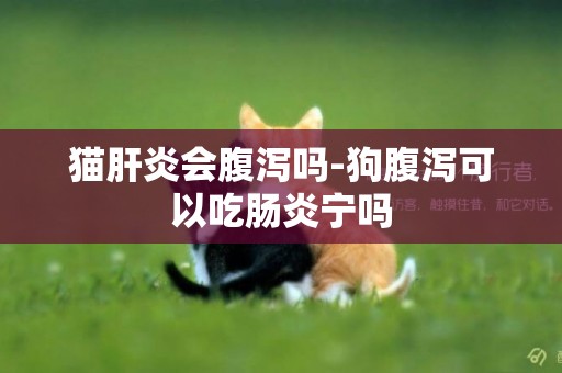 貓肝炎會腹瀉嗎-狗腹瀉可以吃腸炎寧嗎