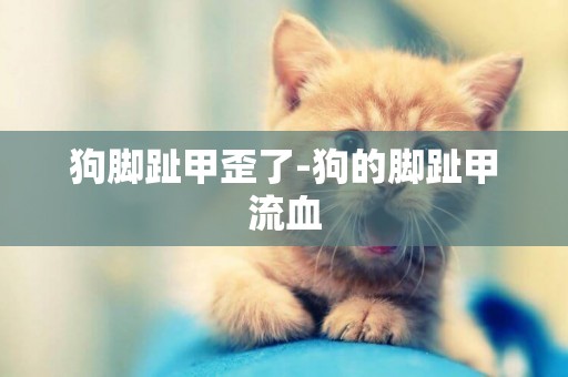 狗腳趾甲歪了-狗的腳趾甲流血