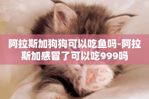 阿拉斯加狗狗可以吃魚嗎-阿拉斯加感冒了可以吃999嗎