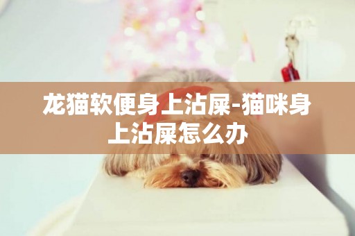 龍貓軟便身上沾屎-貓咪身上沾屎怎么辦