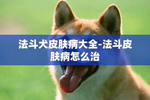 法斗犬皮膚病大全-法斗皮膚病怎么治