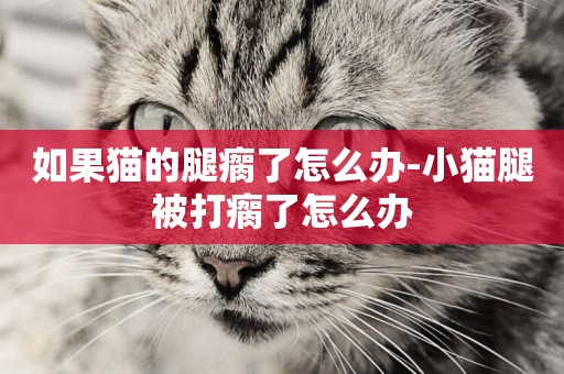 如果貓的腿瘸了怎么辦-小貓腿被打瘸了怎么辦