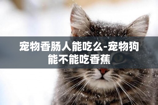 寵物香腸人能吃么-寵物狗能不能吃香蕉