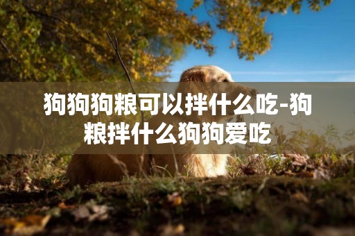 狗狗狗糧可以拌什么吃-狗糧拌什么狗狗愛吃