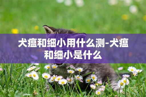 犬瘟和細小用什么測-犬瘟和細小是什么