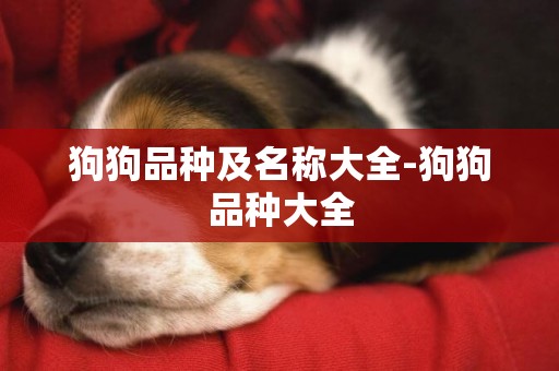 狗狗品種及名稱大全-狗狗品種大全