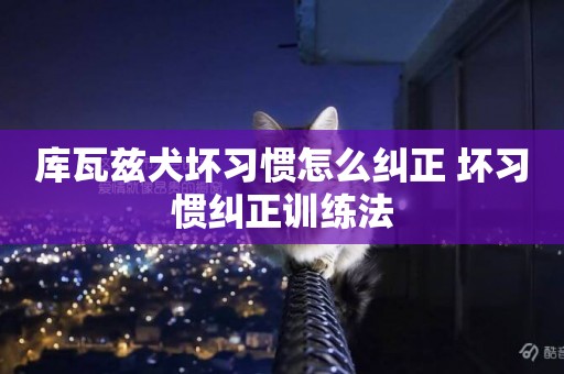 庫瓦茲犬壞習慣怎么糾正 壞習慣糾正訓練法