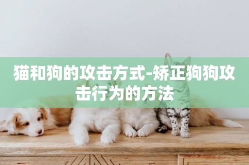 貓和狗的攻擊方式-矯正狗狗攻擊行為的方法